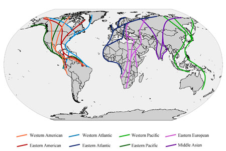Global Flyways 